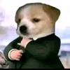 vietcun4