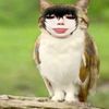 meowlfemboy