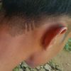 alalz5312