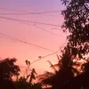 baothu_tete2