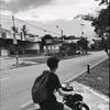 dhliaa_908
