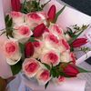 amal.barkat
