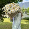 cutieliltledaisy
