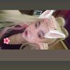 dina.din791