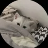 minhanhtrumff.lovetiktok
