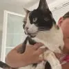 lylouh.lala
