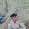 user6028811978529
