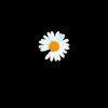 user61426573458777