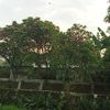 ummi.ilham23