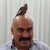 lisa_20506