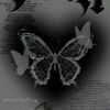 ayas_004