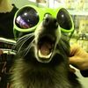 mrpickle034