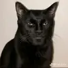 kevinximenes5