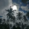 yas.honrada