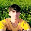 shawqi177