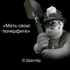 skv1sh240
