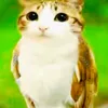 minhcuthethoihehe4