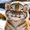 lionarpin7