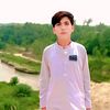 alihassan.ali277