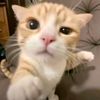 user737032098