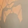 zahraa56165