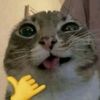 kgeezee1