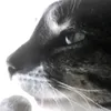 user712031151621