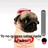 pabloperugorria66