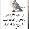 user7950676653470