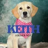 keithgoldenboy