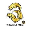 • TIGA LELE FARM •