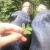 elan_1350