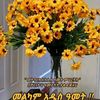 user77976510377391