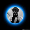 user39675828206058
