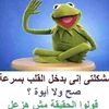 user8569561522581
