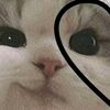 user1999613512563