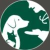 bollingercanyonanimalhospital