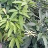 user5303114732512