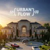 urban.flow.10
