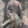 misskashmiri31