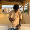 fallousamb098
