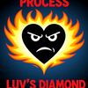 cnia.process6