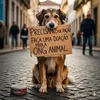 ONG SALVA ANIMAIS