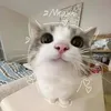 nguyenvong1_chh