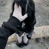 notznadisa_