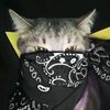 cattriiyy_13