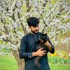 muzamil.sheikh757