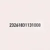 23261831131008