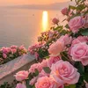 hassn7734