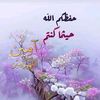 lama.almasri09